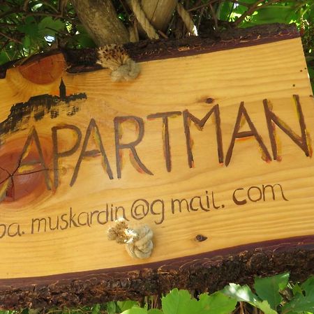 Apartman Biba Лубенице Экстерьер фото